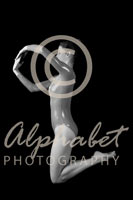 Alphabet Photography Letter Q                                          