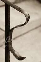 Alphabet Photography Letter R                                          