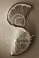 Alphabet Photography Letter S                                          