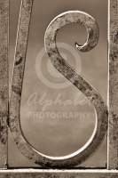 Alphabet Photography Letter S                                          