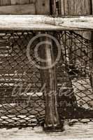 Alphabet Photography Letter T                                          