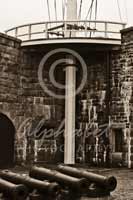 Alphabet Photography Letter T                                          