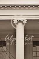 Alphabet Photography Letter T                                          