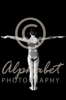 Alphabet Photography Letter T                                          