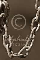 Alphabet Photography Letter U                                          