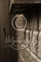 Alphabet Photography Letter U                                          
