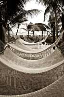 Alphabet Photography Letter U                                          