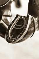 Alphabet Photography Letter U                                          