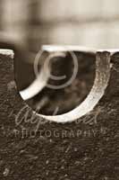 Alphabet Photography Letter U                                          