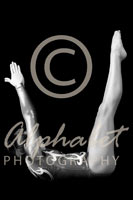 Alphabet Photography Letter U                                          