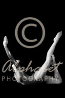 Alphabet Photography Letter U                                          