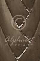 Alphabet Photography Letter V                                          
