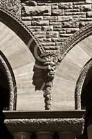 Alphabet Photography Letter V                                          