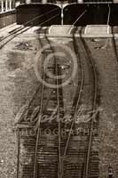 Alphabet Photography Letter V                                          