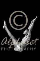 Alphabet Photography Letter V                                          