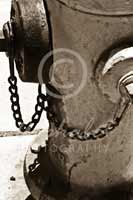Alphabet Photography Letter W                                          