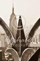 Alphabet Photography Letter W                                          