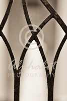 Alphabet Photography Letter W                                          