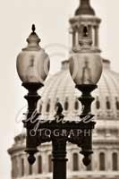 Alphabet Photography Letter W                                          