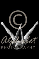 Alphabet Photography Letter W                                          