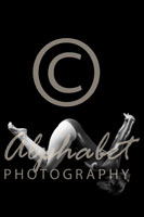 Alphabet Photography Letter W                                          