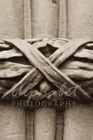 Alphabet Photography Letter X                                          