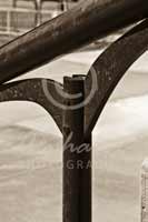 Alphabet Photography Letter Y                                          
