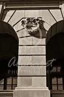 Alphabet Photography Letter Y                                          