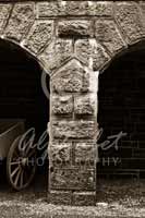 Alphabet Photography Letter Y                                          