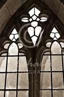 Alphabet Photography Letter Y                                          