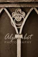 Alphabet Photography Letter Y                                          