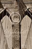 Alphabet Photography Letter Y                                          