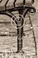 Alphabet Photography Letter Y                                          