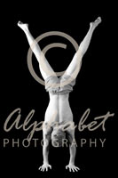 Alphabet Photography Letter Y                                          