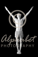 Alphabet Photography Letter Y                                          