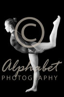 Alphabet Photography Letter Y                                          