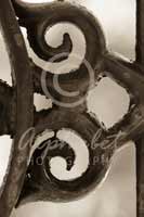 Alphabet Photography Letter B