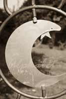 Alphabet Photography Letter C