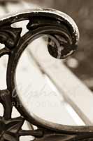 Alphabet Photography Letter C