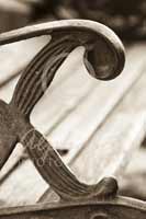 Alphabet Photography Letter C