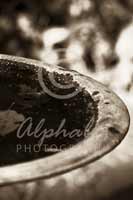 Alphabet Photography Letter D