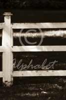 Alphabet Photography Letter E