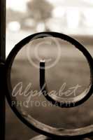 Alphabet Photography Letter E