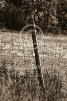 Alphabet Photography Letter I
