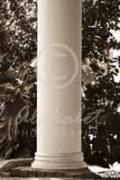 Alphabet Photography Letter I