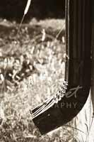 Alphabet Photography Letter J
