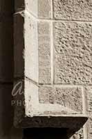 Alphabet Photography Letter L