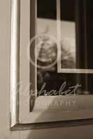 Alphabet Photography Letter L