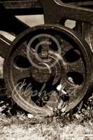 Alphabet Photography Letter O