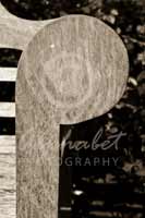 Alphabet Photography Letter P
